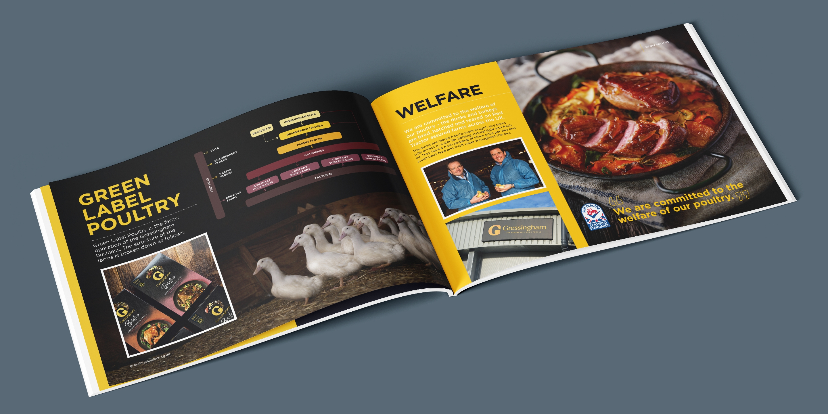 Pages from a Gressingham brochure on a grey background