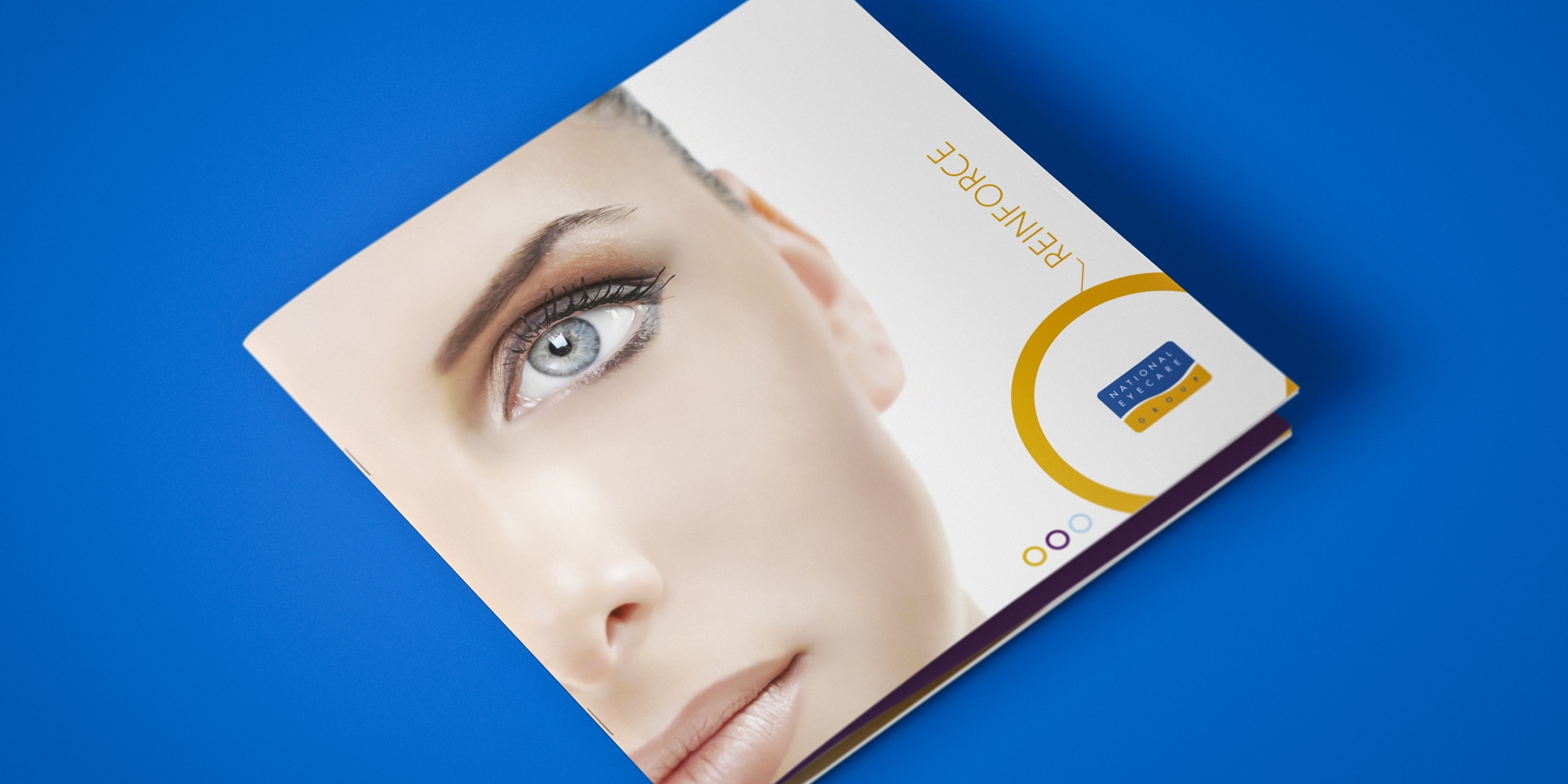 National Eyesore Group brochure on a blue background