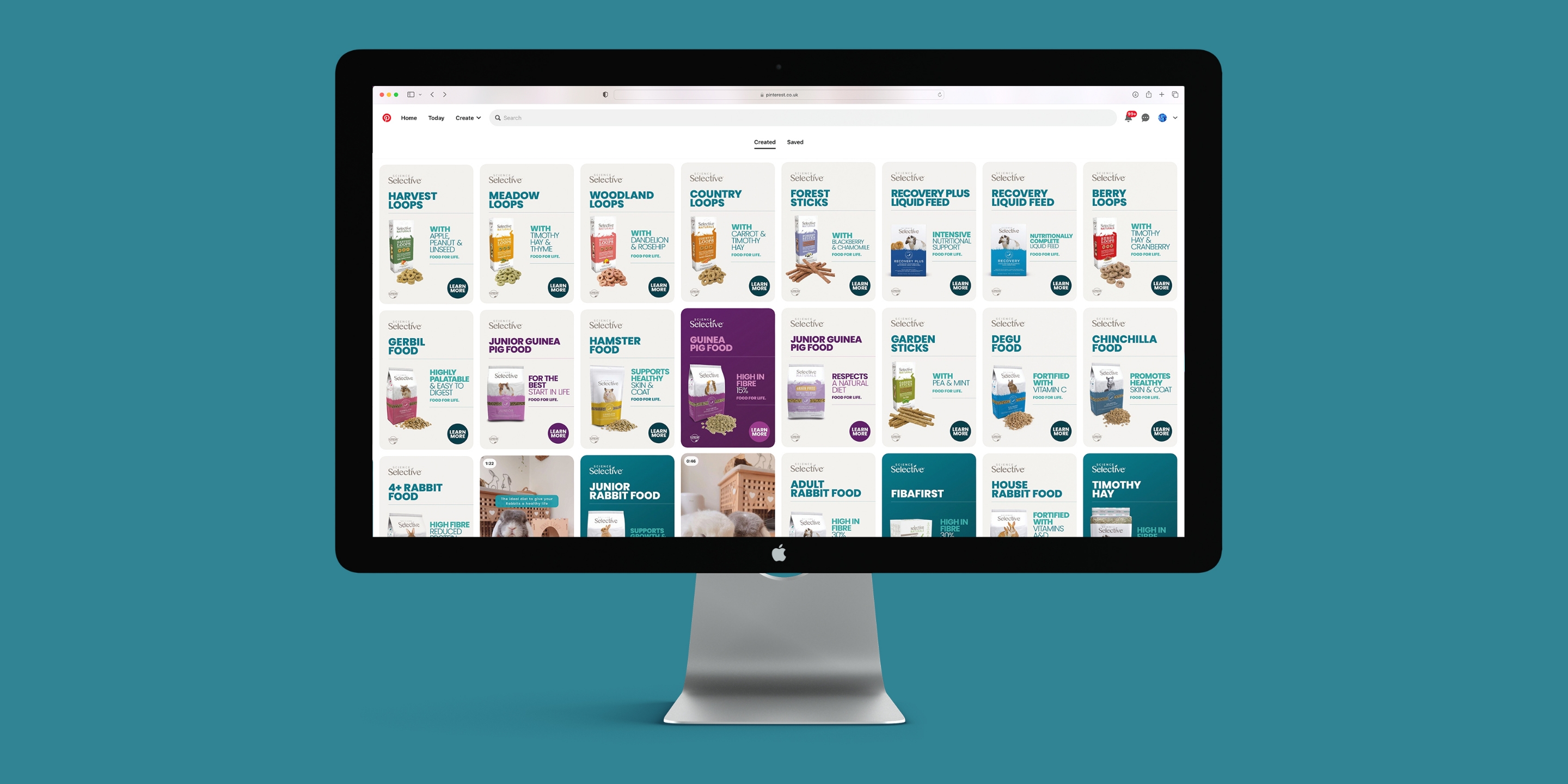 iMac showing the Supreme Petfoods Pinterest page on a green background